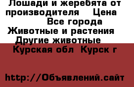 Лошади и жеребята от производителя. › Цена ­ 120 - Все города Животные и растения » Другие животные   . Курская обл.,Курск г.